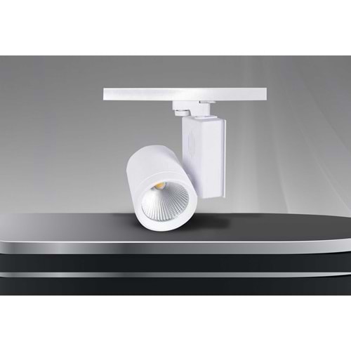 40W MEDUSA RAY SPOT 6500K 110x90x132 mm